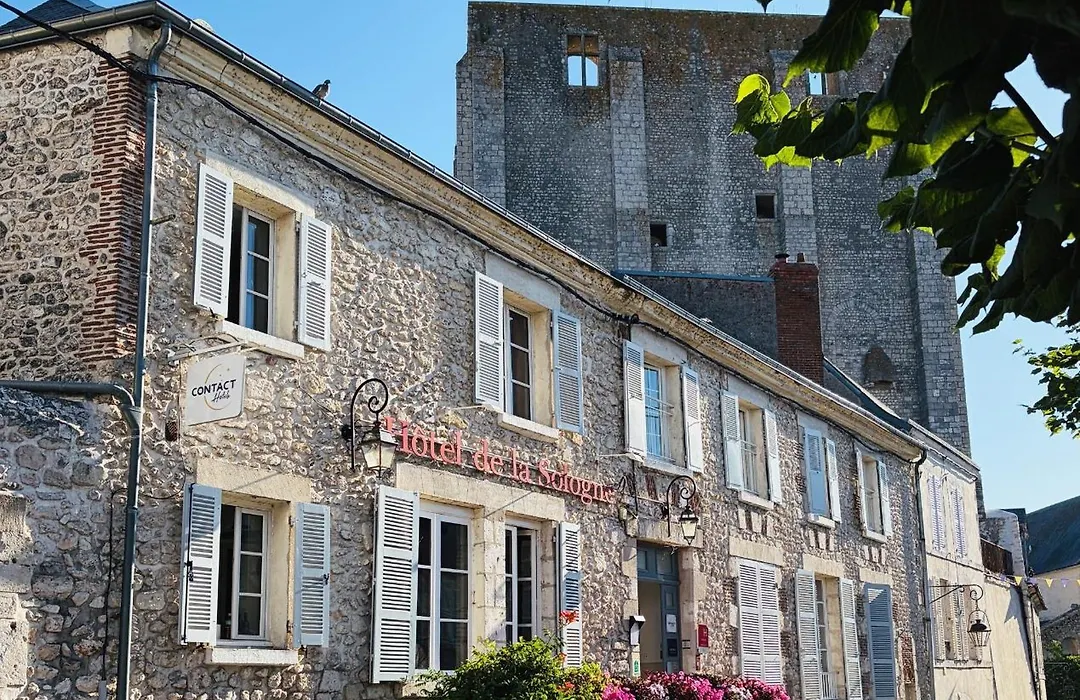 Hotel de la Sologne-1