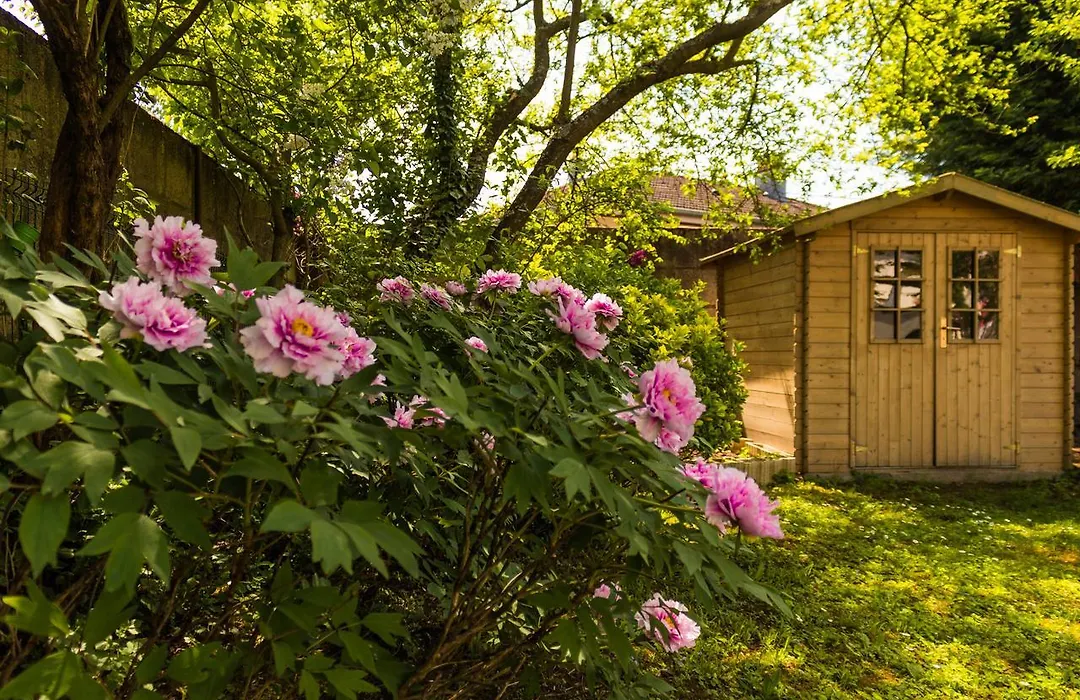 Carpe Diem Bed&Breakfast-1