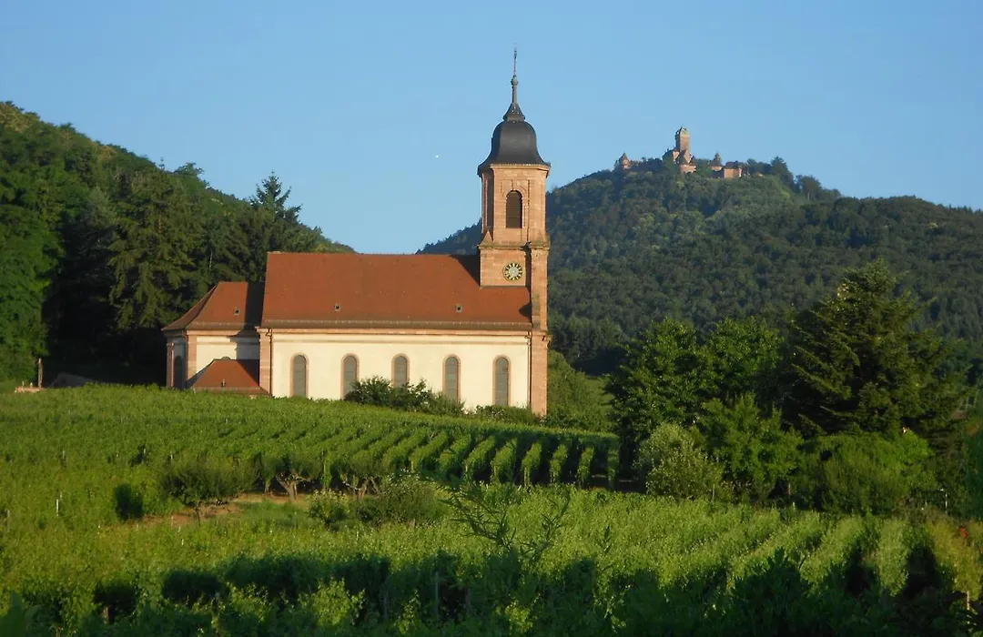 Au Coeur Du Vignoble-1