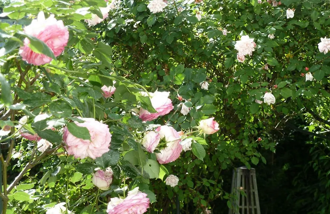 Le Clos des Princes-1