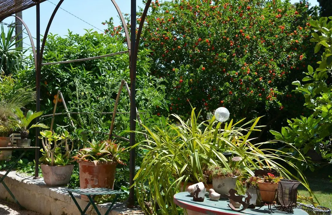 Les Passiflores-1