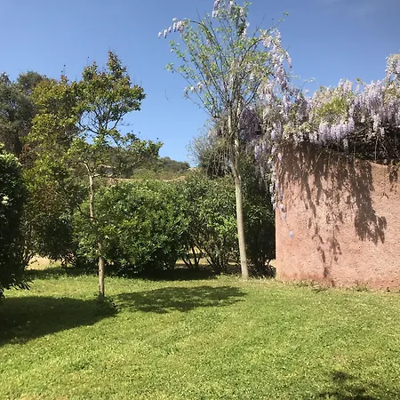 Résidence Les Cigales-2