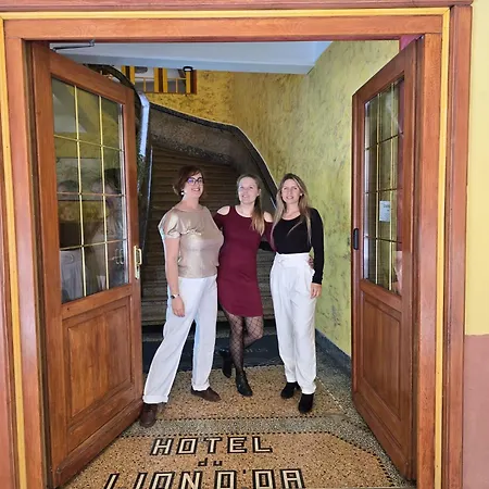 Les Arcades Le Lion D'or-3