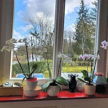 Le Manoir du coeur volant B&B-3