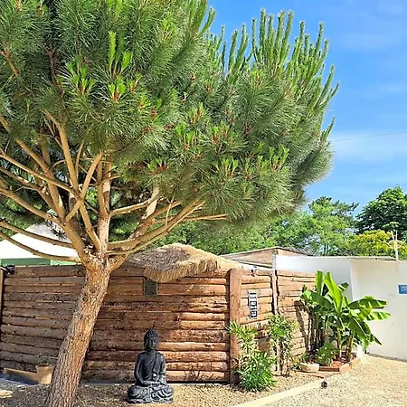 Gite Insolite Vue Sur Le Ciel Etoile , Cuisine, Salle D Eau, 2 Chambres , Proche Du Zoo De La Palmyre-3