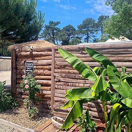Gite Insolite Vue Sur Le Ciel Etoile , Cuisine, Salle D Eau, 2 Chambres , Proche Du Zoo De La Palmyre-2
