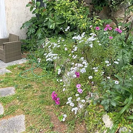 Chambre spacieuse indépendante dans villa plus parking privée-2