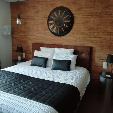 Les Béthunoises - Suites design, Spa et Sauna-3