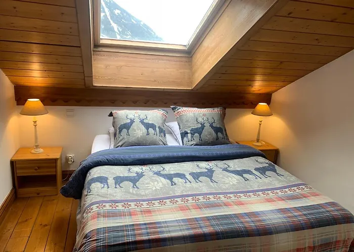 Appartement Les Arolles Chamonix Mont Blanc