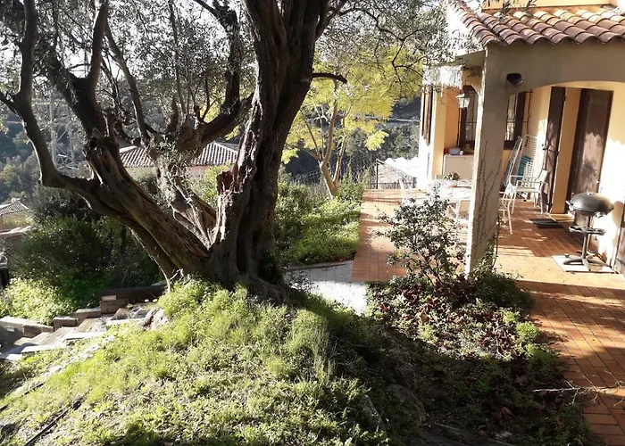 Villa Bellevue Nice
