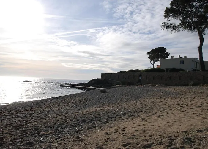 La Javanaise Saint Aygulf