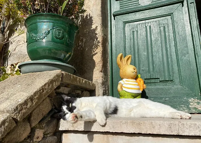Hôtels à Entraygues-sur-Truyère