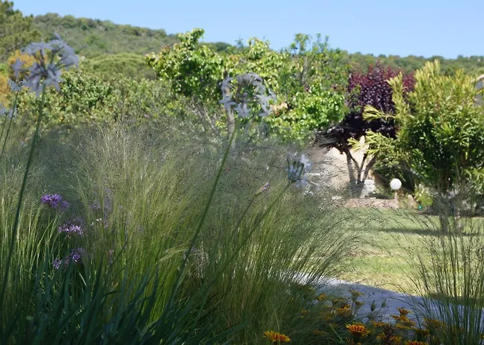 Les Jardins De Santa Giulia - Charmante chambre dhte Porto-Vecchio 