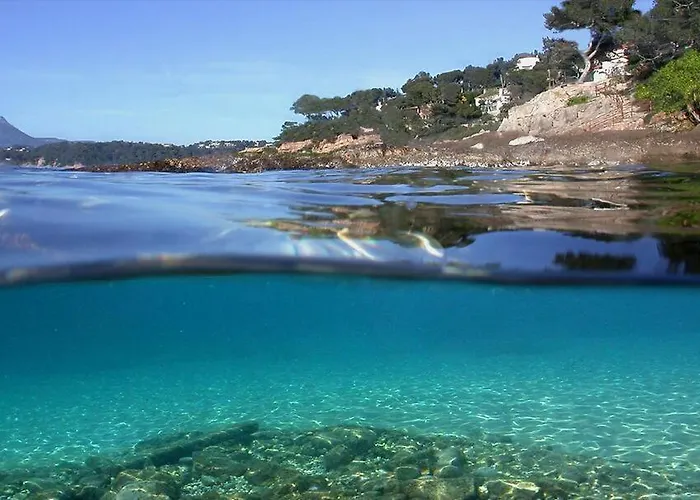 Les Pieds Dans L'Eau Apartamento Nice aceita animais de estimação