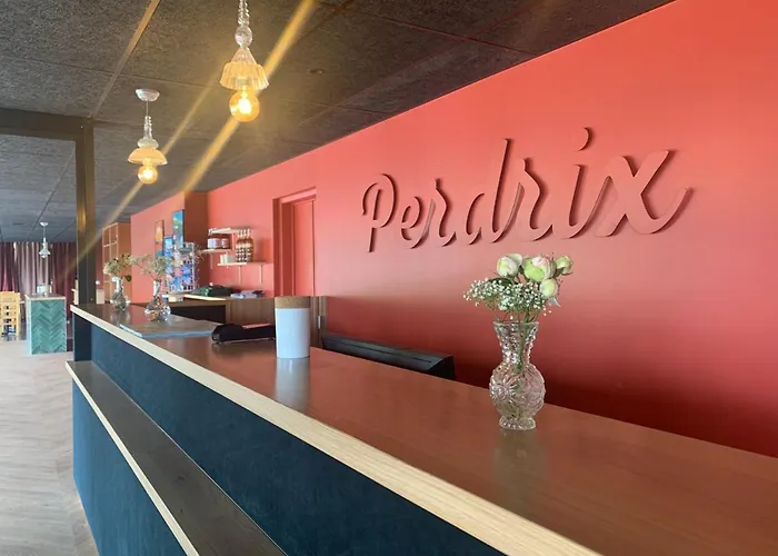 Hotel Perdrix Super-Besse