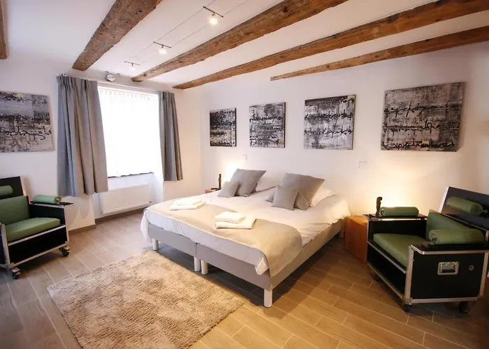 App'Art - Le T Avec Sauna Kaysersberg-Vignoble