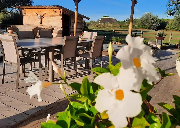 Bed and Breakfast Mas Fandelou à Les Les Saintes-Maries-de-la-Mer