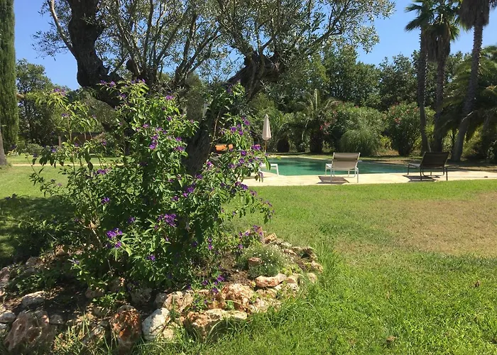 Clos des Vignes Pampelonne Vineyard Ramatuelle