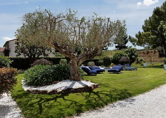 Le Cherche Midi Chambres D'Hotes Avec Cuisine Equipee Grand Jardin Parking Securise Gratuit Albi