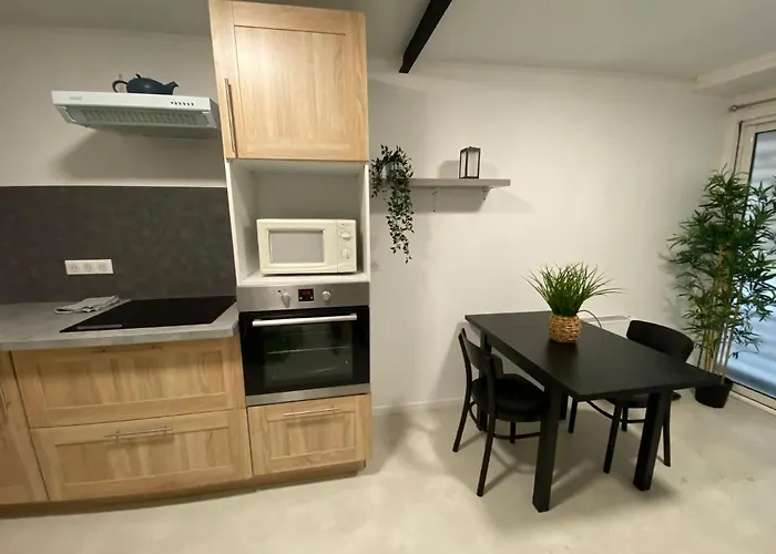 COSY&SPA Appartement Luxe JACUZZI SAUNA Suite Cristal Avignon