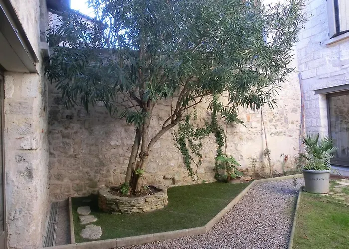 Chambre sur jardin secret - Avignon Centre - Climatisée