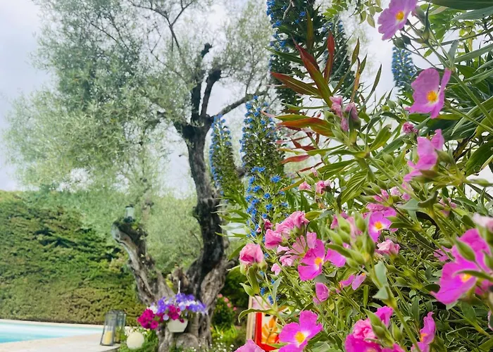 Bed and Breakfast Abeille à Vence
