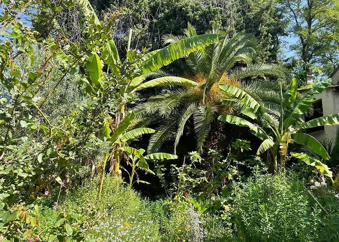 Villa LEONA CLIM PARK Bollène