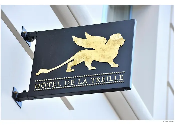 Hotel De La Treille Lila