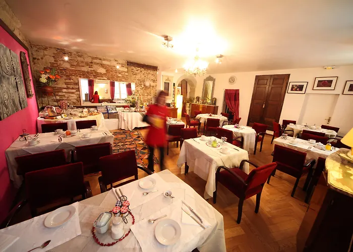 Castres (Tarn) Hotels