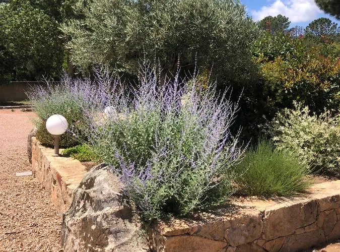 Ljdsg Bed & Breakfast Porto-Vecchio 