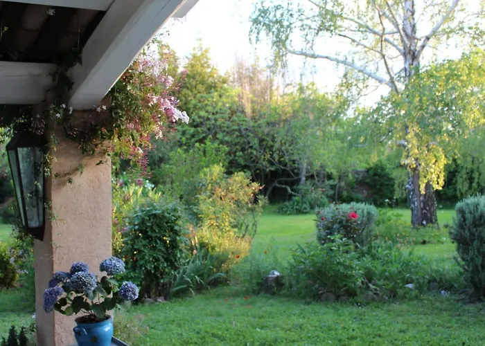 Les Romarins B&B, 10 Min D'Uzes, Piscine Et Grand Jardin, Table D'Hote