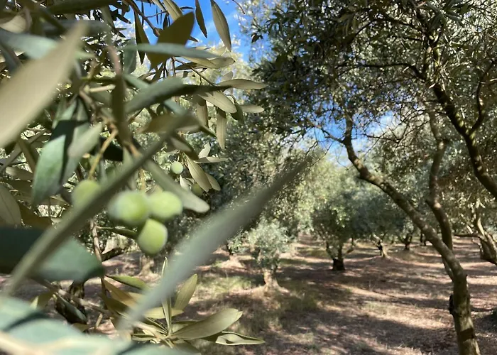 CARLIN Ferme Haute Prairie Lourmarin