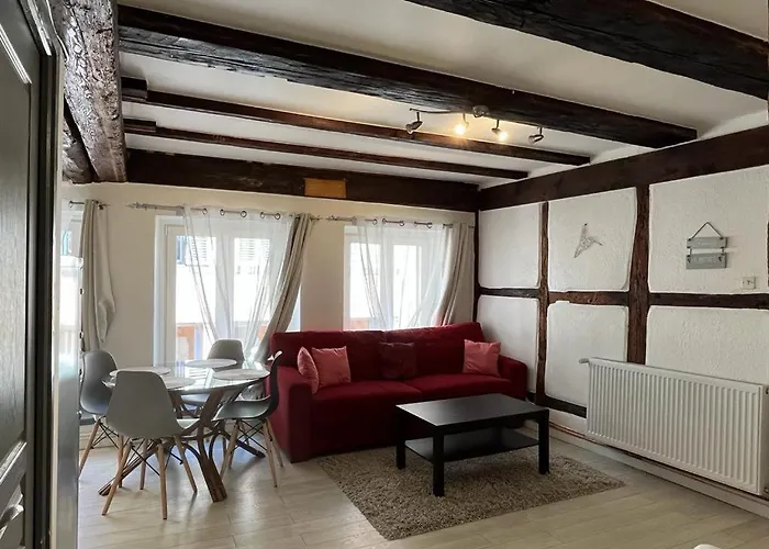 La Mariana - Old Town Cosy Apartments Colmar
