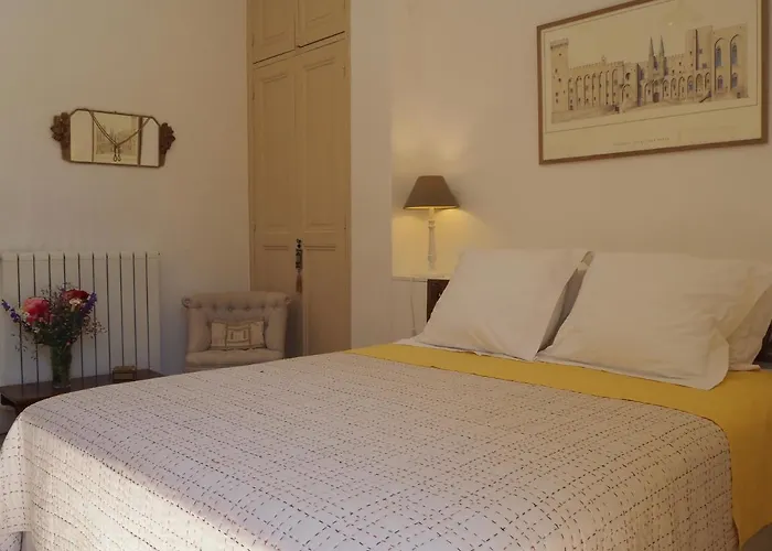Maison Velvet Avignone