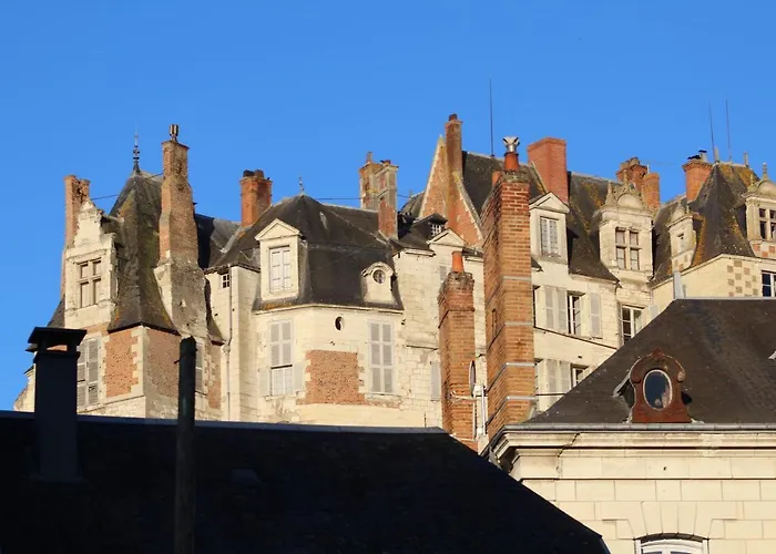 Hôtel 31 Rive Gauche à Saint-Aignan 