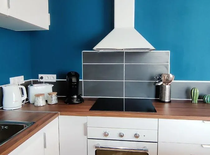 Chambre Rousig Avec Salle De Bains Privative Dans Une Residence Avec Salon Et Cuisine Partages Brest