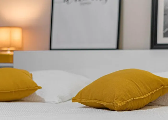 Appartement T2 LUMINEUX PROCHE CHU ET FAC LETTRES BEAUX ARTS Dutreix 2 à Limoges