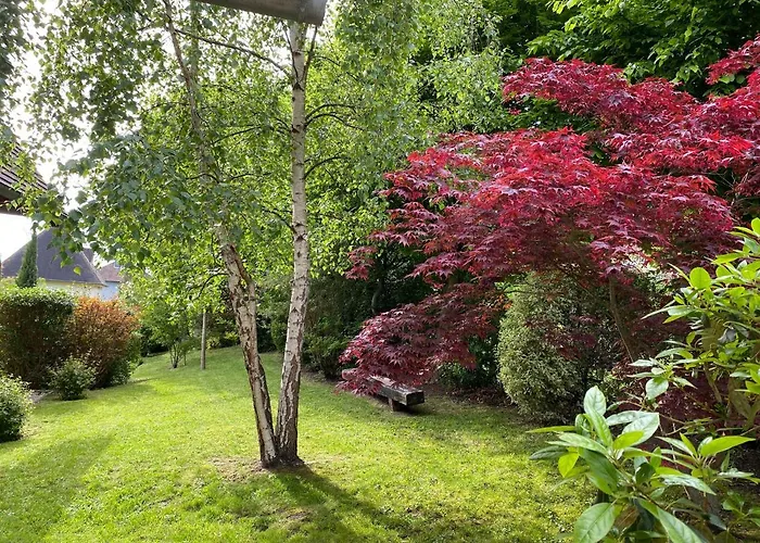 Jolie Villa Dans Un Ecrin De Verdure Houlgate