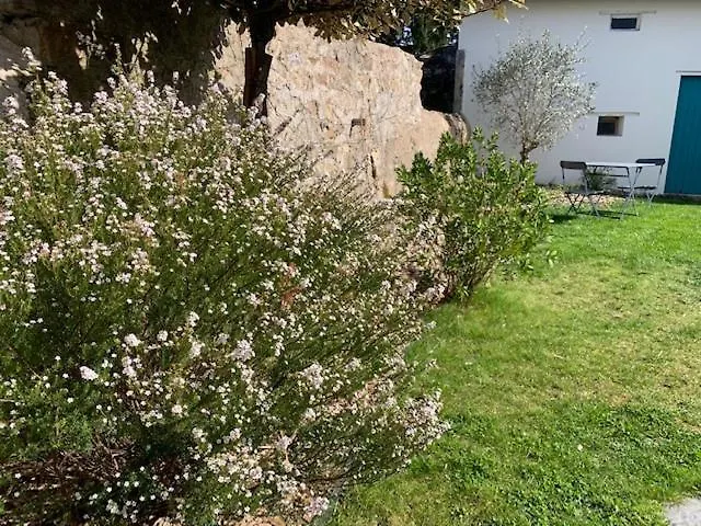 Chambre d'Hôtes Les Petits Oiseaux Nantes