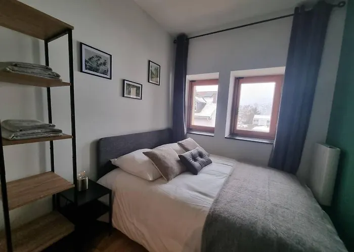 Le 304, Au Centre De Gérardmer