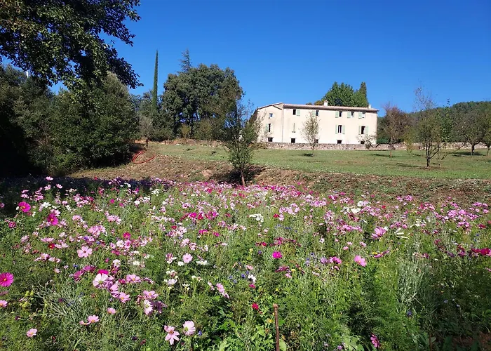Les Jardins de Falguière Saint-Jean-du-Gard