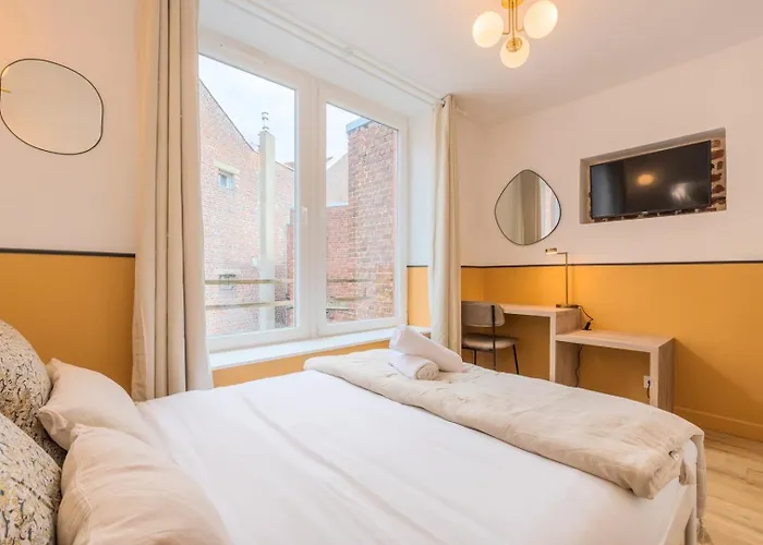 5-Bedroom House In The Centre Of Lille.