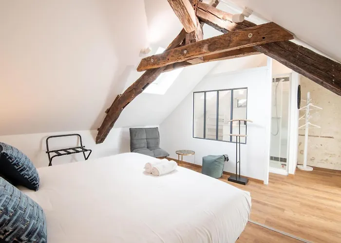La Maison Renaissance - Gite 8Prs Amboise