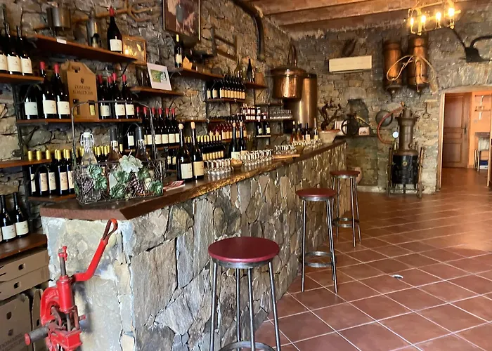 Hotel Du Vignoble Patrimonio