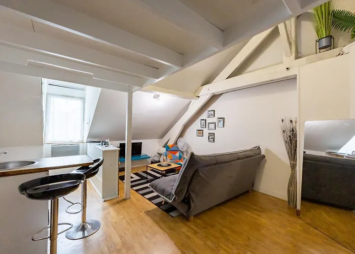 Appartement Le Rocher De L'Ile à Nantes