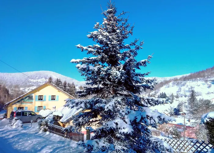Bed and Breakfast Les Sapins Bussang
