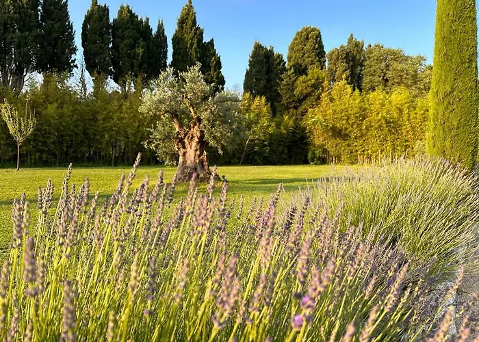 Hotel Mas Des Bambous Saint-Rémy-de-Provence