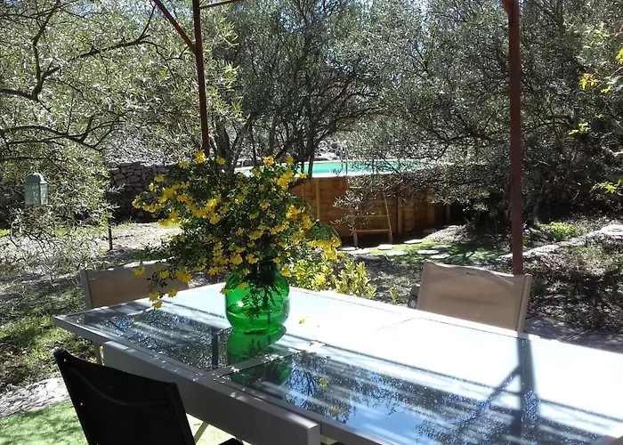 Bed and Breakfast Les Chardons Bleus Lorgues