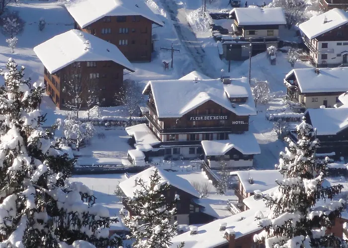 Fleur Des Neiges Hotel Morzine