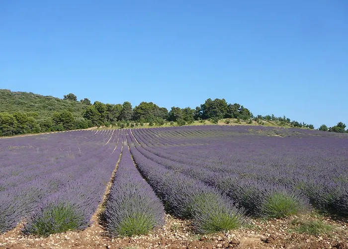 Hôtels à Quinson